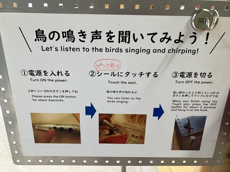 鳥の声を聞いてみよう